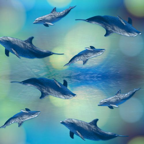 Blue Dolphin