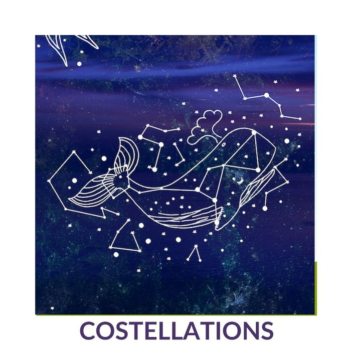 Cosmos & Constellations