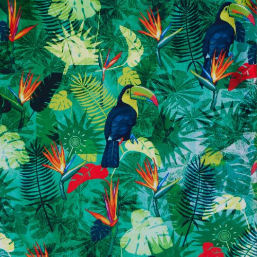 Jungle