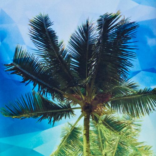 Geo Tropical